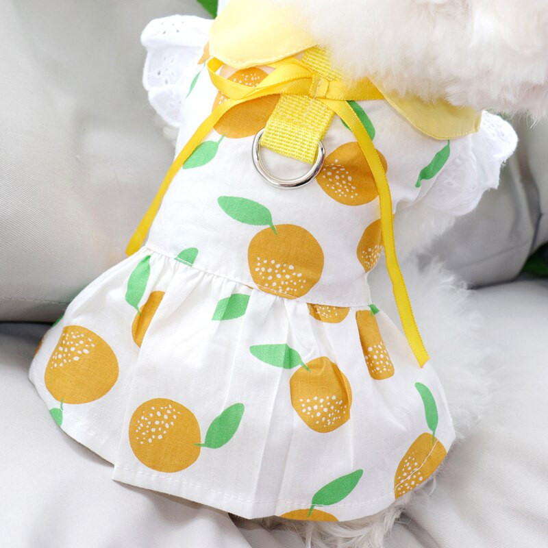 Μόδα Λεμόνι Ρούχα για σκύλους Καλοκαιρινό Λεπτό Φόρεμα Πριγκίπισσας Ρούχα Φρούτα για Κατοικίδια VIP Ανοιχτό πουκάμισο Bichon Δώρα γενεθλίων για κουτάβι Φόρεμα