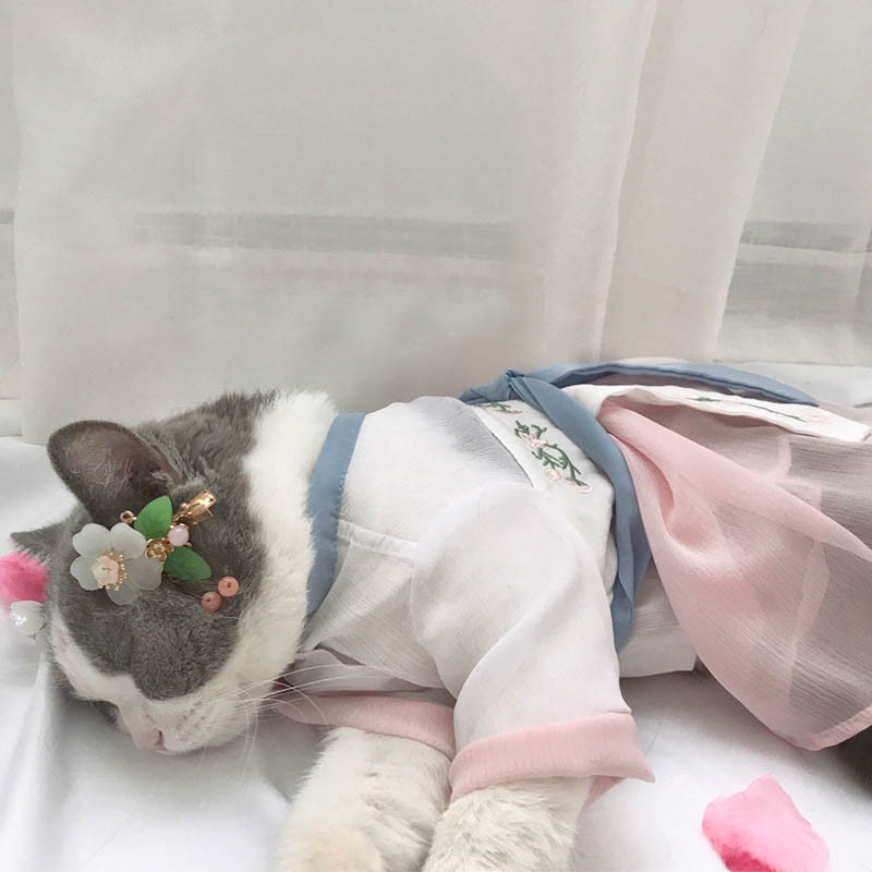 Dievčenské psy na Nový rok, nádherné šaty pre domáce zvieratá, oblečenie pre malých psov, elegantné šaty v čínskom štýle, kostým pre šteniatka 10E