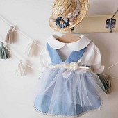 INS Bavlnená pastoračná čipkovaná sukňa z priadze, sukňa pre psov, oblečenie pre domáce zvieratá, kostýmy pre psov, krátka traková sukňa, šteňa čivava, yorkshirský darček