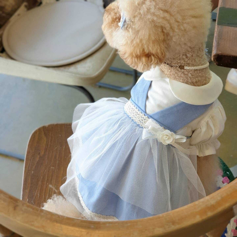 INS Bavlnená pastoračná čipkovaná sukňa z priadze, sukňa pre psov, oblečenie pre domáce zvieratá, kostýmy pre psov, krátka traková sukňa, šteňa čivava, yorkshirský darček