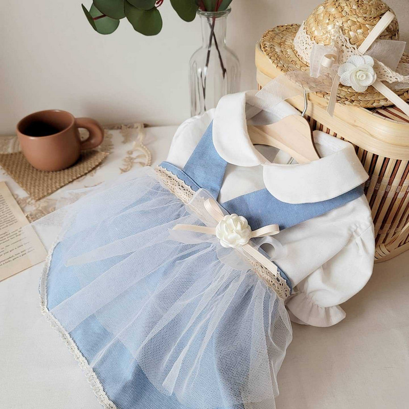 INS Bavlnená pastoračná čipkovaná sukňa z priadze, sukňa pre psov, oblečenie pre domáce zvieratá, kostýmy pre psov, krátka traková sukňa, šteňa čivava, yorkshirský darček