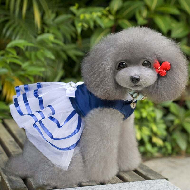 Dungi Mesh Fusta câine Rochie Pet Haine Arc Respirabil Vară Casual Clasic