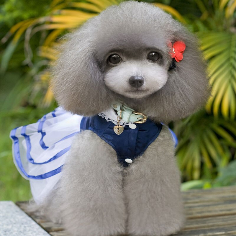 Dungi Mesh Fusta câine Rochie Pet Haine Arc Respirabil Vară Casual Clasic