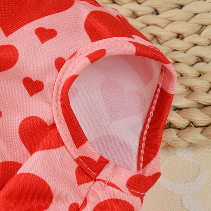 Moda Halloween Rochie pentru câini Pet Pisică Cățeluș Rochii Chihuahua Pentru Câini Mici Îmbrăcăminte Cosplay Pisică Costum Crăciun Dress Up Fusta