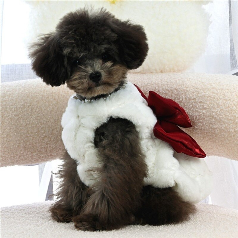 Lemmikloomprintsess Kleit Sügistalv Väike Koer Soe Mantel Armas Palus Seelik Armas Kubu Luksus Disainer Riided Kutsikas Kassipoeg Villane Vest