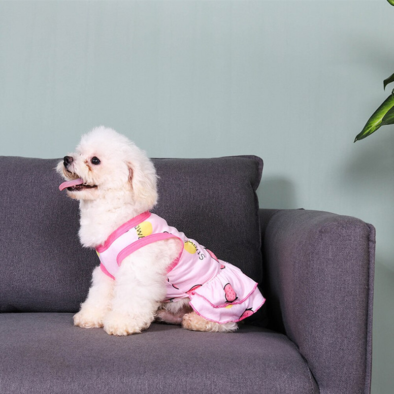 Suvine lemmiklooma kleit Lemmiklooma seelikud Mugavad pehmed ja elastsed kutsikad Koerad Kassid Printsess Kleit Lemmiklooma riided Koera riided XS-XL