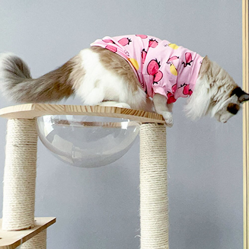 Suvine lemmiklooma kleit Lemmiklooma seelikud Mugavad pehmed ja elastsed kutsikad Koerad Kassid Printsess Kleit Lemmiklooma riided Koera riided XS-XL