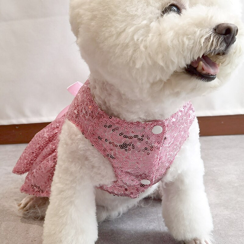 Koerte pulmakleit Abielu Lemmikloomarõivad Koer Printsess Seelik Tutu Cat Chihuahua Yorkshire`i kutsikavesti kleidid Väikesed koerariided