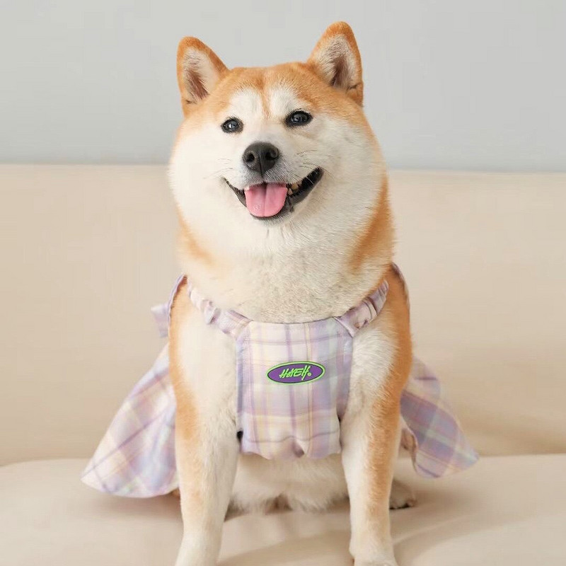 Ρούχα για κατοικίδια 2022 Χοντρό φόρεμα σκυλιών για σκύλους Φούστα φλοράλ γαλλικά μπουλντόγκ φορέματα σκυλιών Μεσαία μεγάλα ρούχα για σκύλους Φόρεμα με ρούχα