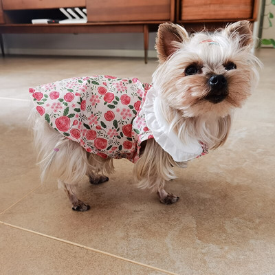 Rochie de trandafir pentru animale de companie Cățeluș Haine drăguță Fusta subțire de pluș Rochie de vară Bichon Haine populare pentru câini Articole pentru animale de companie