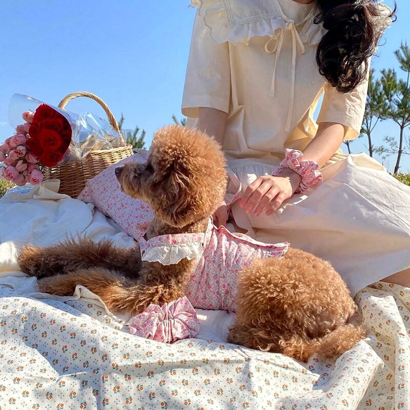 Rochie de trandafir pentru animale de companie Cățeluș Haine drăguță Fusta subțire de pluș Rochie de vară Bichon Haine populare pentru câini Articole pentru animale de companie