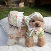 Jarné a letné nové šaty pre psov Tekvicová sukňa s klobúkom Oblečenie pre domáce zvieratá s kvetinovou potlačou Oblečenie pre mačky a psov Oblečenie pre čivavy