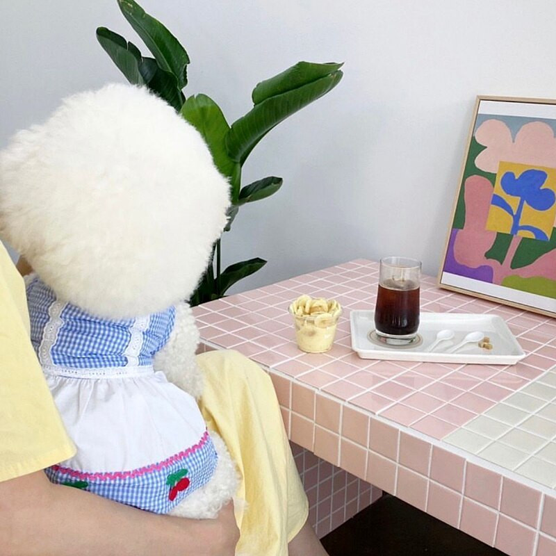 Ranojesenska tanka haljina za kućne ljubimce Odjeća za pse Teddy karirana suknja Pulover za pudlice Suknja za štene Princeza Oprema za kućne ljubimce XS-XL