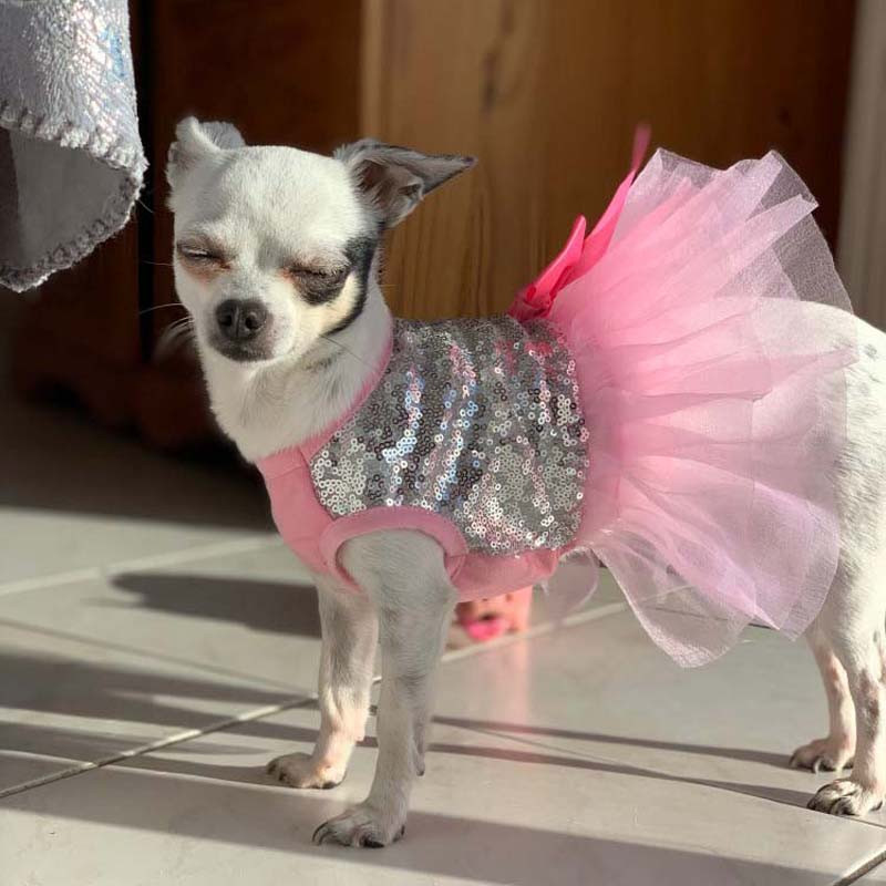 Suvine särav kleit väikestele koertele Printsessi pulmakoerte kleidid Tutu seelik Lemmikloomarõivad Chihuahua Yorkshire`i kutsikakostüümidele