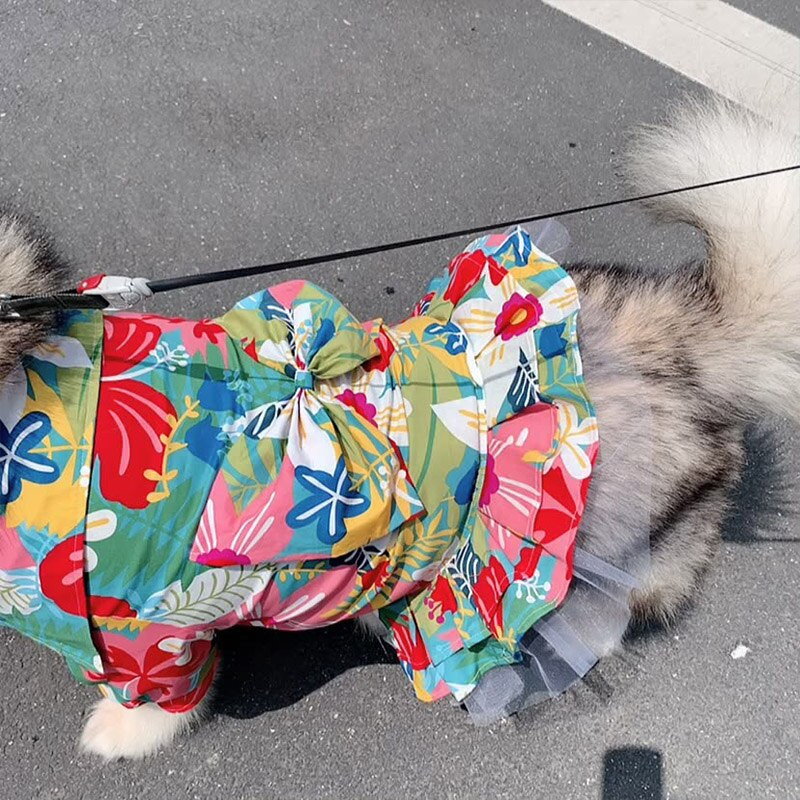 Kevadsuvine koerakleit Suured lemmikloomariided keskmise suurusega koertele Labradori kuldse retriveri kostüümid Lillelised koerakleidid