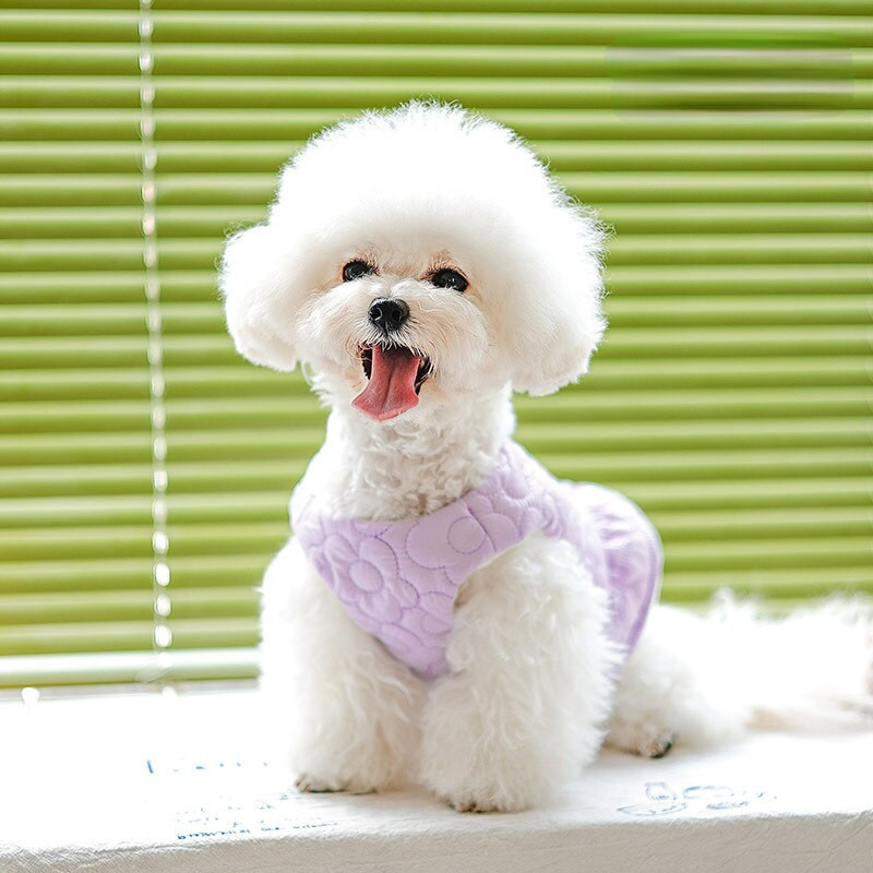 Lemmikloom Soe Vest Sügis Talv Keskmine Väike Koer Riided Armas Printsess Kleit Armas Mantel Kassipoeg Kutsikas Moe Seelik Yorkshire Puudel