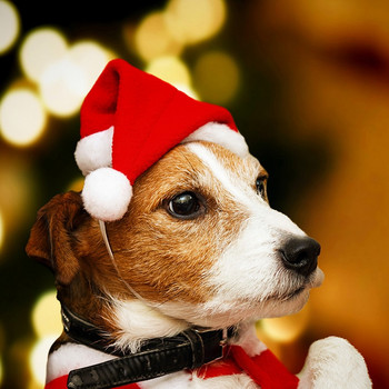 Χριστουγεννιάτικο κατοικίδιο σκύλος γάτα καπέλο Άγιου Βασίλη Μικρό κουτάβι Χριστουγεννιάτικη Χριστουγεννιάτικη στολίδια Χριστουγεννιάτικα στολίδια Cosplay Props Καπέλα Χριστουγεννιάτικο πάρτι Προμήθειες για κατοικίδια