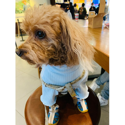 Tričko s plyšovým uzáverom pre domáce zvieratá, teplý sveter pre šteniatka, jednofarebné oblečenie, pletené svetre pre domáce zvieratá, oblečenie pre psov