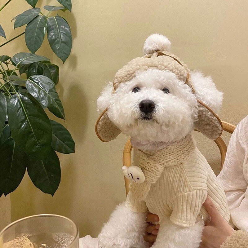 Zimska topla kapa za pse od flisa Luksuzna kapa za pse Podesiva kapa za štene za male srednje pse Dodaci za šnaucere Predmeti za kućne ljubimce