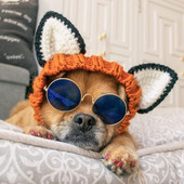 Αστείο καπέλο για γάτα Πλεκτό καπέλο Φόρεμα στολή για κατοικίδιο καπέλο Χριστουγεννιάτικο Cosplay Ζεστό καπέλο για σκύλους Καπέλα Αξεσουάρ για κουτάβι γάτα