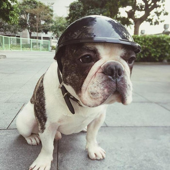 Pet Funny Cool Μοτοσυκλέτες Καπέλο κράνους ποδηλάτου για προστασία από βροχή από τον ήλιο Γυαλιά ηλίου Funny Holiday Adjustable Dog