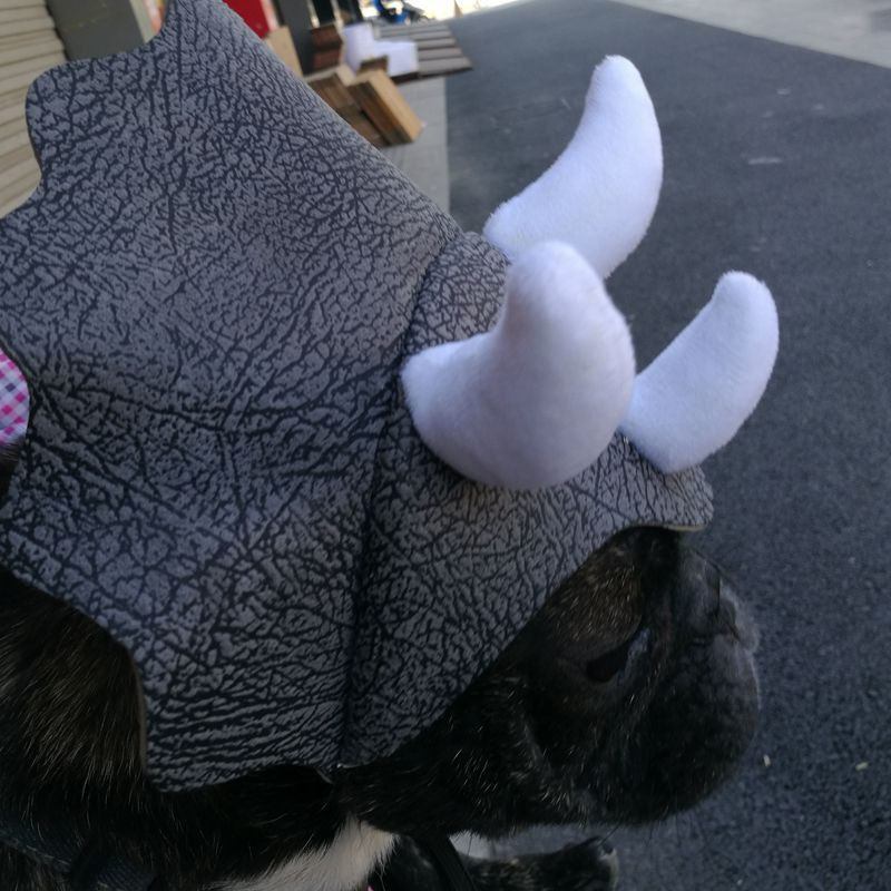 Triceratops Dinosaur Costume Καπέλα για γάτες Καπέλο για σκύλο Dinosaur Triceratops Bulldog Καπέλο Καπέλο σκύλου Καπέλα κεφαλής κατοικίδιο ζώο Στολή Καπέλο σκύλου