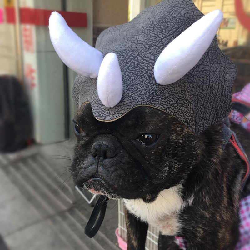 Triceratops Dinosaur Costume Καπέλα για γάτες Καπέλο για σκύλο Dinosaur Triceratops Bulldog Καπέλο Καπέλο σκύλου Καπέλα κεφαλής κατοικίδιο ζώο Στολή Καπέλο σκύλου