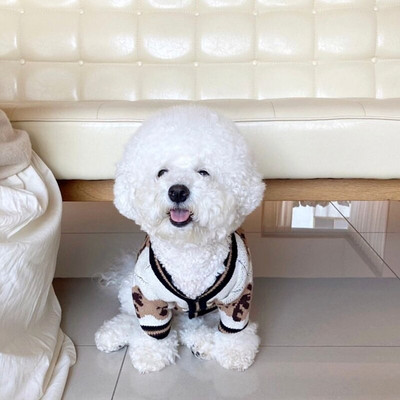 Ζεστό ανοιχτό πουκάμισο για κατοικίδια Χειμερινά ρούχα για σκύλους Πλεκτά πουλόβερ αρκούδα Teddy Two Foot Ρούχα Puppy Pop Ρούχα Δώρα γενεθλίων