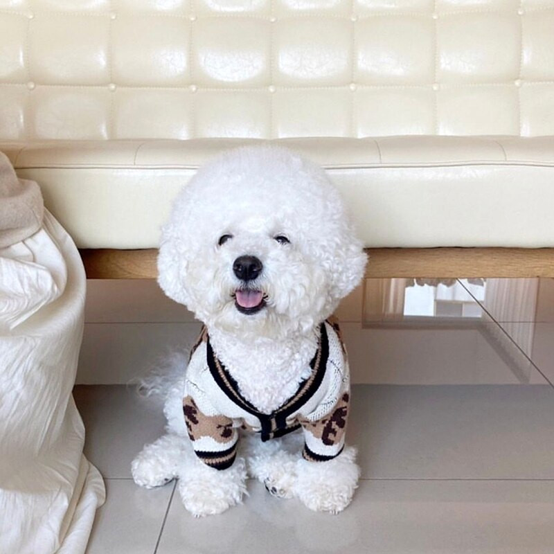 Ζεστό ανοιχτό πουκάμισο για κατοικίδια Χειμερινά ρούχα για σκύλους Πλεκτά πουλόβερ αρκούδα Teddy Two Foot Ρούχα Puppy Pop Ρούχα Δώρα γενεθλίων