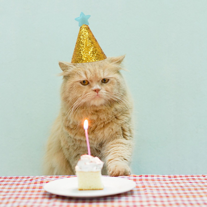 2 ks vysoko kvalitné pokrývky hlavy pre domáce zvieratá, narodeninové klobúky, trblietavé hviezdy, dekorácia pre narodeniny pre domáce zvieratá, flitre, pes, šteniatko, párty, kostým pre mačky, klobúk, doplnok