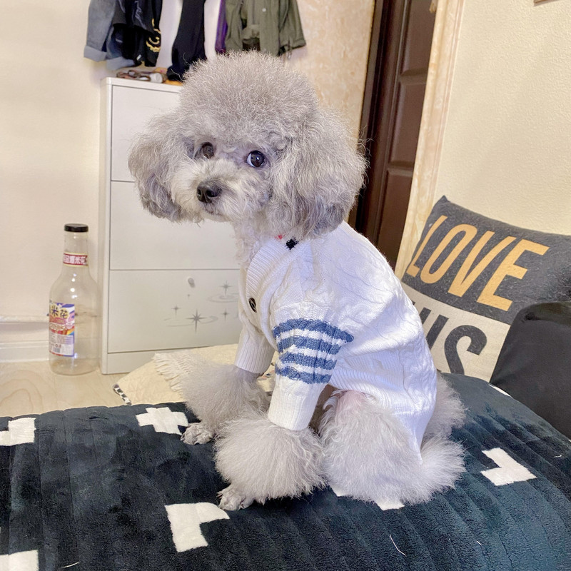 Rūbai augintiniams Rudens žiema Vidutinis mažas šuniui megztas megztinis Madingas Šiltas paltas Taksas Čihuahua Kačiukas Šuniukas Saldus megztinis Mopsas