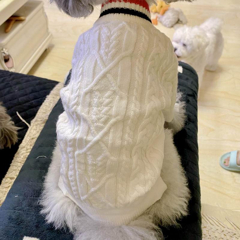Rūbai augintiniams Rudens žiema Vidutinis mažas šuniui megztas megztinis Madingas Šiltas paltas Taksas Čihuahua Kačiukas Šuniukas Saldus megztinis Mopsas