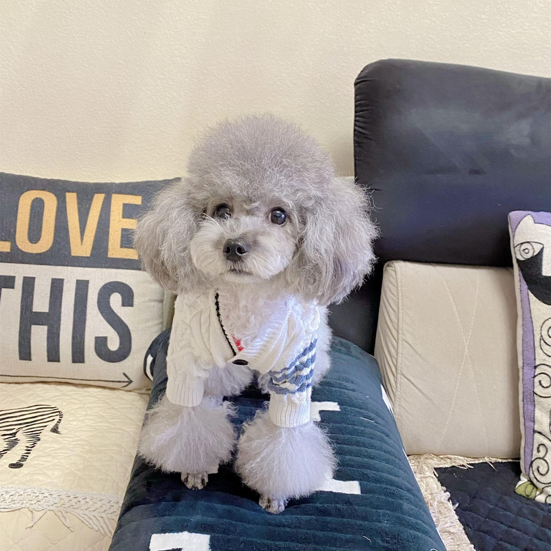 Rūbai augintiniams Rudens žiema Vidutinis mažas šuniui megztas megztinis Madingas Šiltas paltas Taksas Čihuahua Kačiukas Šuniukas Saldus megztinis Mopsas