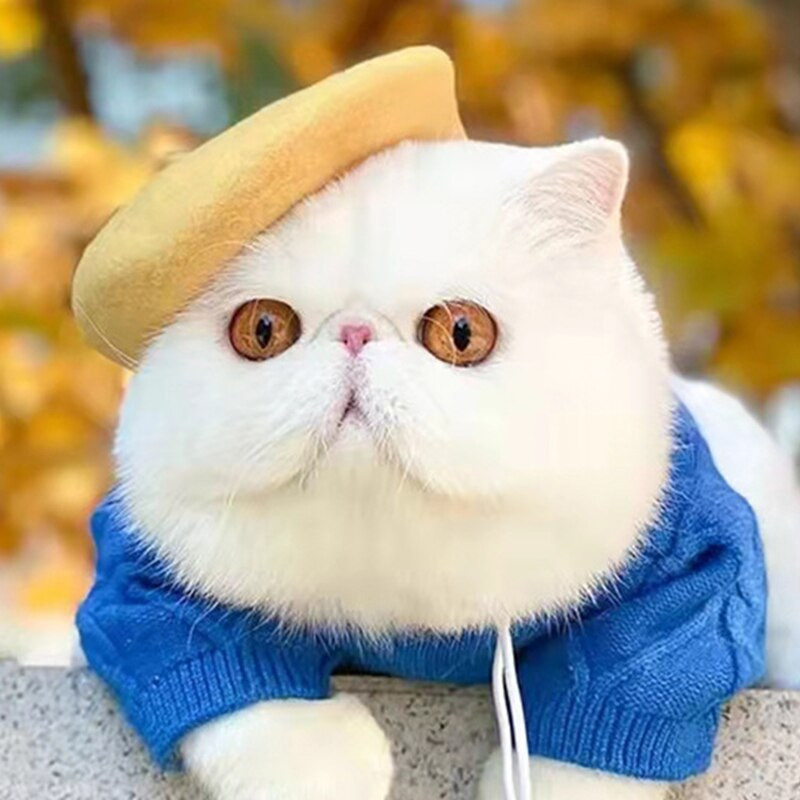 Pălărie pentru animale de companie, culoare solidă, pictor, șapcă de lână, beretă pentru câine, mini foto decorativă, pălărie, pentru animale de companie Memorial, Crăciun, pălării de lux de designer