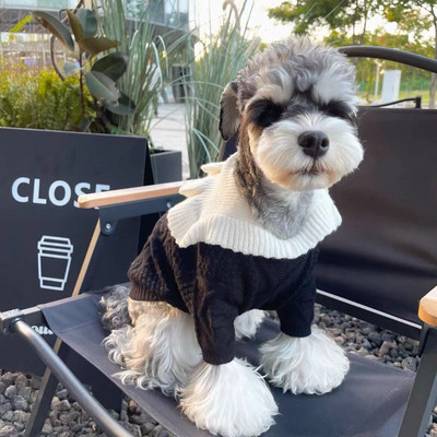 Jesenný zimný sveter Cardigan Oblečenie pre domáce zvieratá Psy Srdcové Teplé Oblečenie pre psov Mačka Malé zahusťovacie Roztomilé Ružové Módne Chlapčenské Dievčenské Čivavy