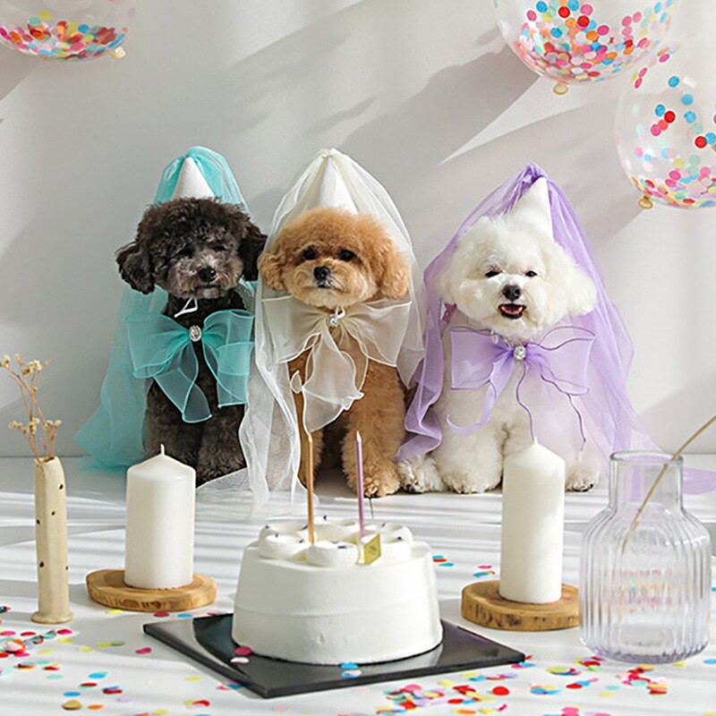 Pălărie drăguță de petrecere a unui câine de companie, pălărie de nuntă, fundă, saliva, prosop, eșarfă triunghiulară, fundă, buzunar, eșarfă, bijuterii drăguțe, pălării pentru câini