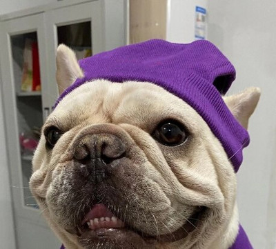 Tričko s plyšovým efektom pre domáce zvieratá, teplý sveter pre šteniatka, jednofarebné oblečenie, pletené svetre pre domáce zvieratá, oblečenie pre psov, čiapky B1151