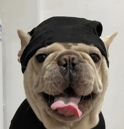 Tričko s plyšovým efektom pre domáce zvieratá, teplý sveter pre šteniatka, jednofarebné oblečenie, pletené svetre pre domáce zvieratá, oblečenie pre psov, čiapky B1151