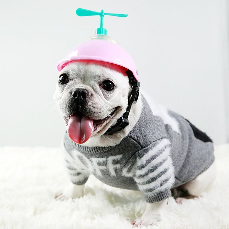 2021. aasta koerte kampsun Koerte riided väikestele koertele Kostüümmoe tekstuuriga Peen riided mopsile Chihuahua šnautseri lemmikloomade riided