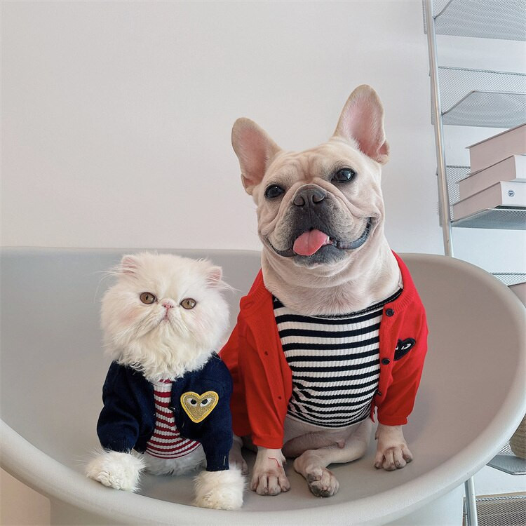 2022 Haine de lux pentru câini Pulovere pentru câini de brand de designer Haine de iarnă pentru câini de talie mică Bulldog Jersey Chihuahua Cățeluș Haine pentru animale de companie