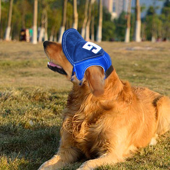 Дишаща шапка за куче Зима Лято Бейзболна шапка с дупки за уши Малък голям голдън ретривър Аксесоари на открито Туризъм Спорт