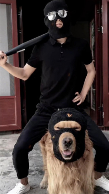Αστείες στολές σκυλιών για μεγάλα σκυλιά Μάσκα σκι Καπέλα σκύλου για σκύλους Αξεσουάρ κράνους για σκύλους κατοικίδιων ζώων Προμήθειες Cosplay Robber
