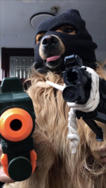 Забавни кучешки костюми за големи кучета Ски маска Кучешки шапки за кучета Аксесоари за шлем за домашни кучета Разбойник Консумативи за косплей