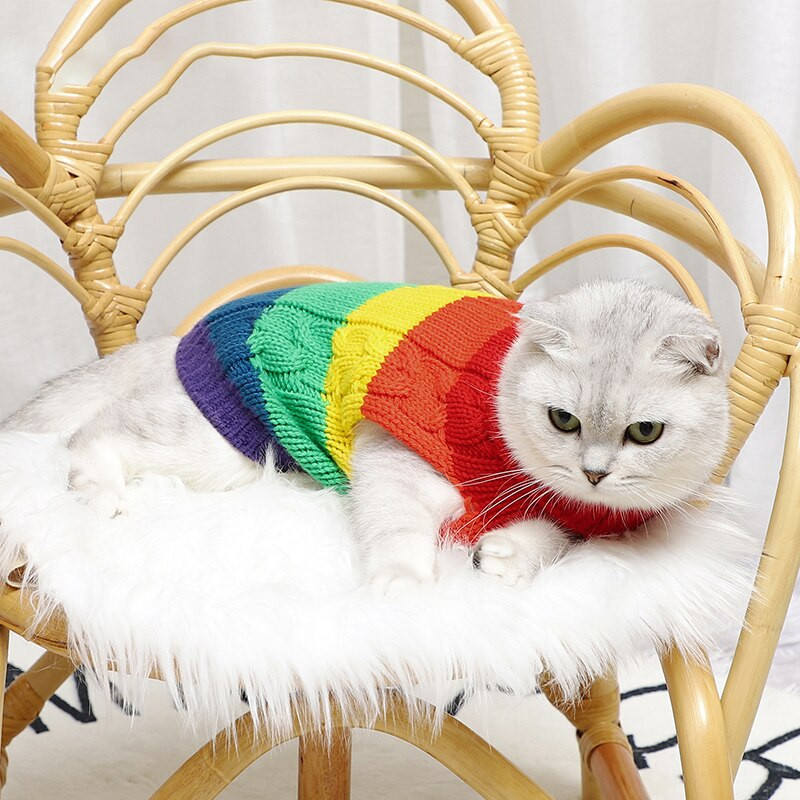 Îmbrăcăminte pentru animale de companie, pisică de lux, pentru câini, pulover, haine, drăguț, curcubeu, în dungi, pentru animale de companie, costum fără mâneci.