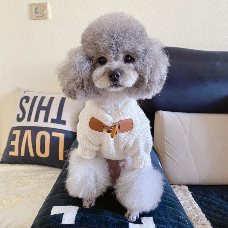 Lemmikloomariided Sügistalv Keskmine Väike koer Kootud Villane Kampsun Soe Mantel Kassipoeg Kutsikas Mood Kardigan Chihuahua Yorkshire Mops