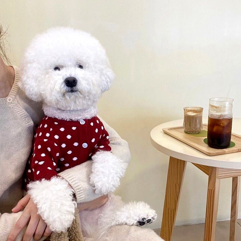 Ρούχα για κατοικίδια Φθινοπωρινά χειμωνιάτικα Μεσαία Πλεκτά Πλεκτά Πουλόβερ για Σκύλους Πιτζάμες Ζεστό Μάλλινο Γατάκι Κουτάβι Μόδα Ζακέτα Yorkshire Poodle