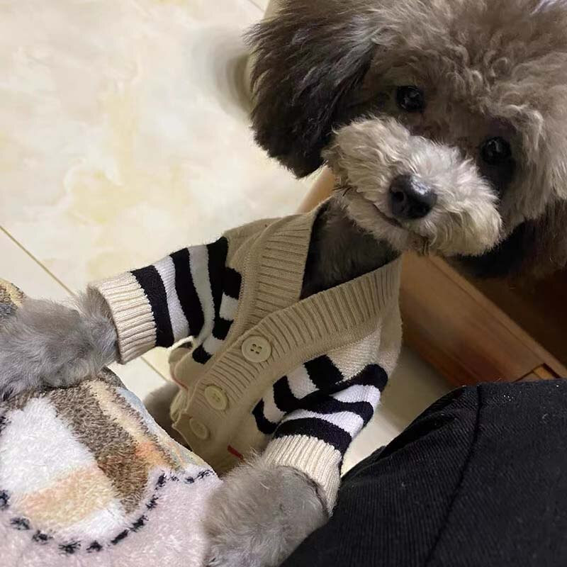 Haine de toamnă și iarnă din bumbac pur în dungi cu nasturi pentru cățeluș Chihuahua Yorkshire, pulover, haine pentru câini de talie mică