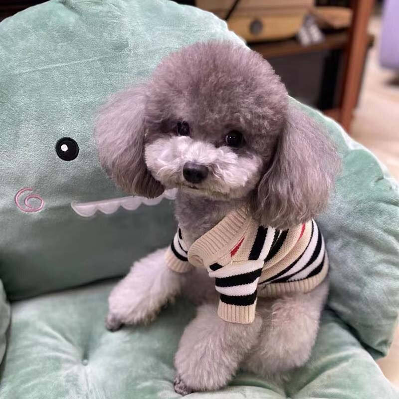 Haine de toamnă și iarnă din bumbac pur în dungi cu nasturi pentru cățeluș Chihuahua Yorkshire, pulover, haine pentru câini de talie mică