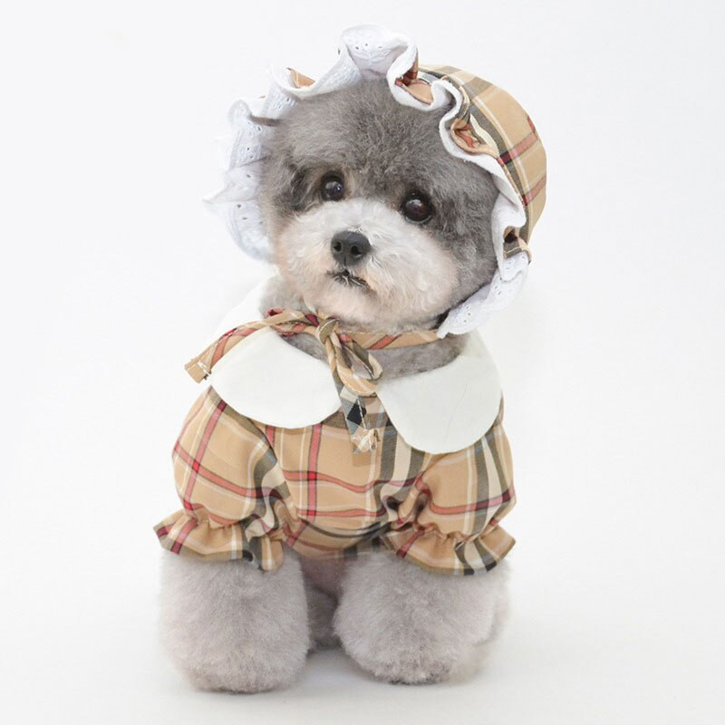 Ruuduline koeramüts väikestele keskmistele koertele Puuvillatriibulised lemmikloomatooted Vaba aeg õues koerte aksessuaarid Luksuslik kassipeo müts Dropshipping