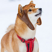 Χαριτωμένο καπέλο αεροπλάνου για σκύλους κατοικίδιων ζώων Αστεία στολή Cosplay Καπέλο Φθινοπωρινό Χειμώνα αντιανεμικό καπέλο πιλότου μοτοσικλέτας για μικρά μεσαία μεγάλα σκυλιά